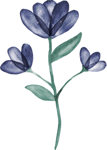 Flower Blossom Leaves in Water Color for Decorative