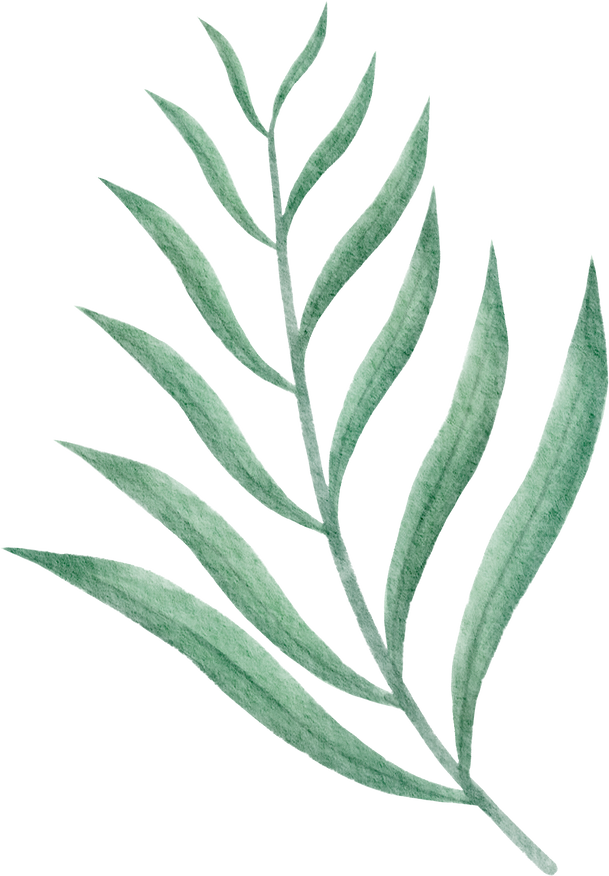 leaves water colour for background, wallpaper, decoration