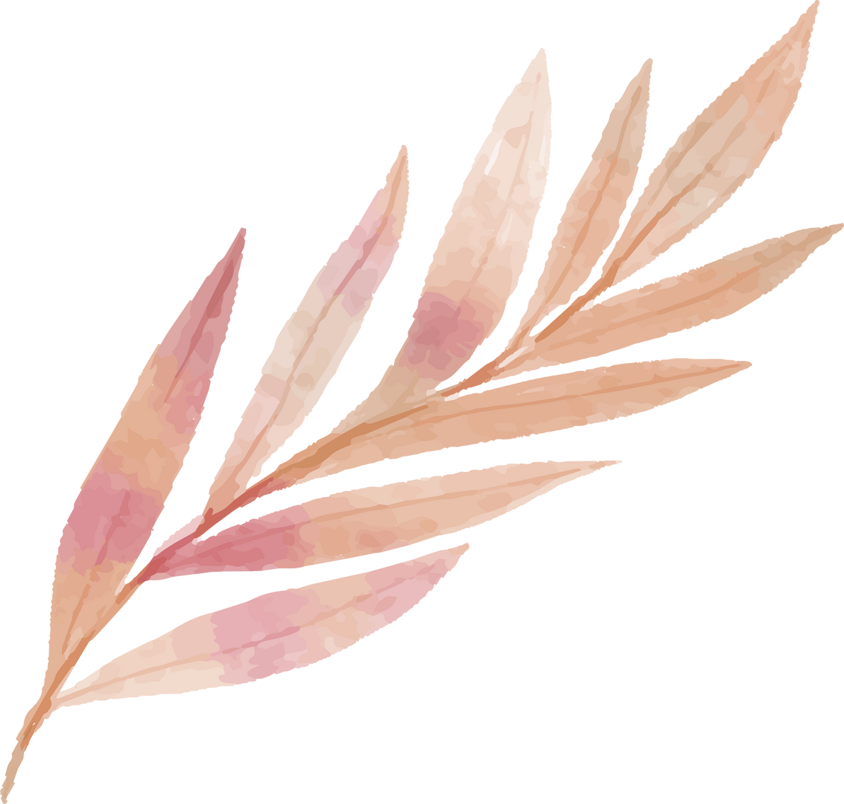 Water Color Plant Leaves