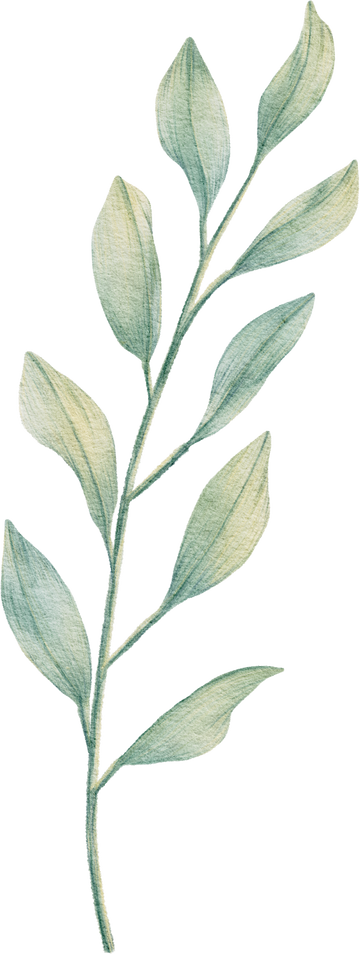 Water color Greenery leaf Illustrator